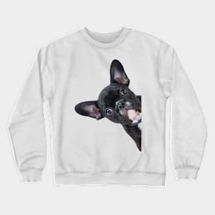 French Bulldog Peekaboo Crewneck Sweatshirt